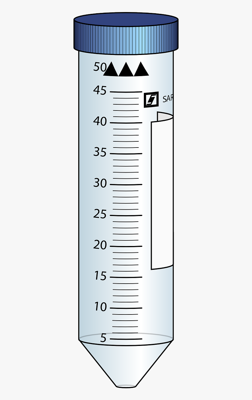 Scale Ruler Png, Transparent Png, Free Download