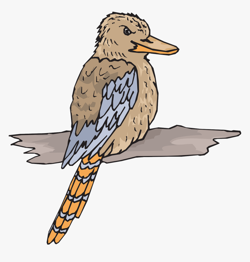 Kookaburra Bird, Wood, Wings, Animal, Beak, Feathers,, HD Png Download, Free Download