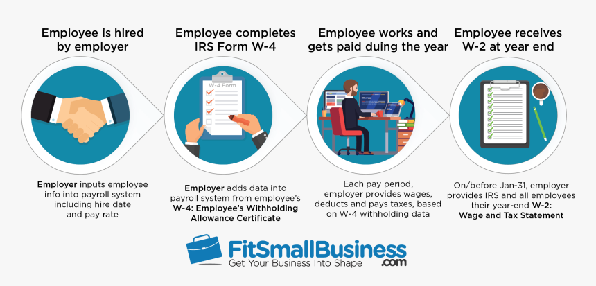 W2 Forms W Vs Whats The Difference When To Use Them, HD Png Download, Free Download