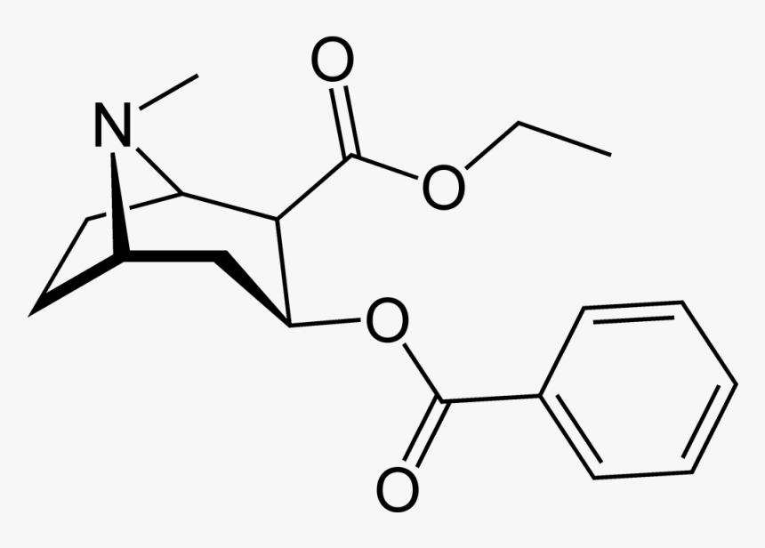 Cocaethylene 2d Skeletal, HD Png Download, Free Download