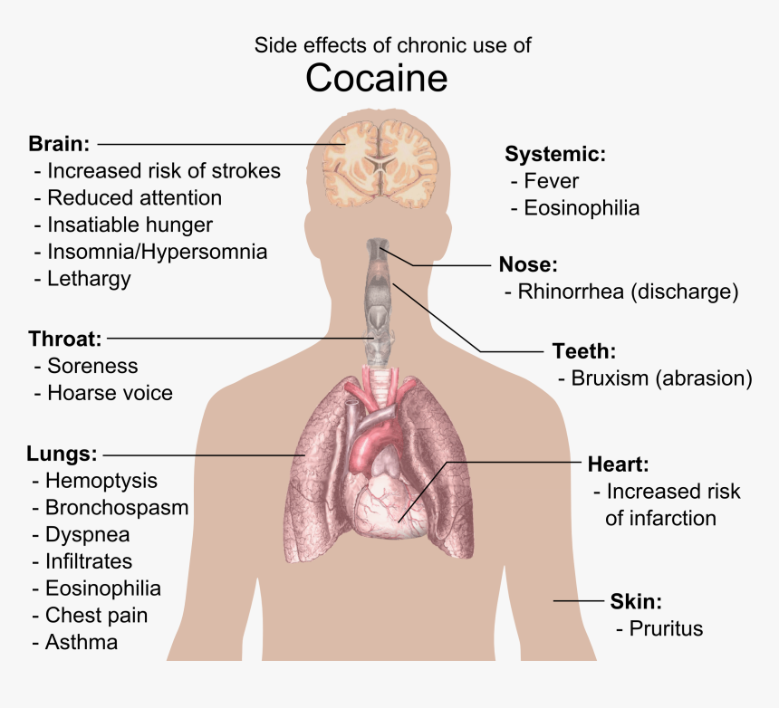 Cocain Png, Transparent Png, Free Download