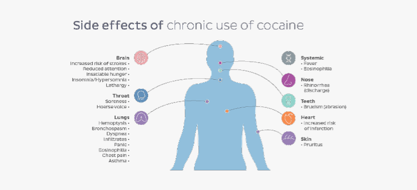 Side Effects Of Cocaine, HD Png Download, Free Download
