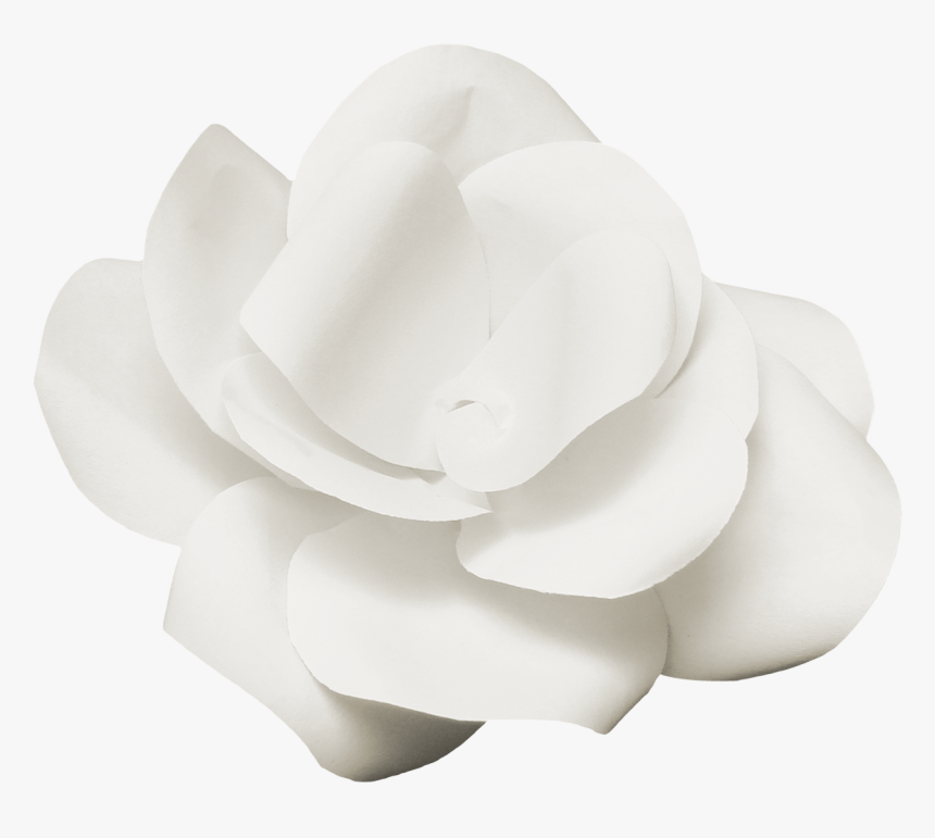 White Flower Poster, HD Png Download, Free Download