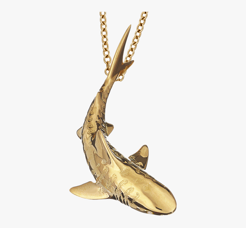 P Shark Pendant Y Diamond New Chain Yg90, HD Png Download, Free Download