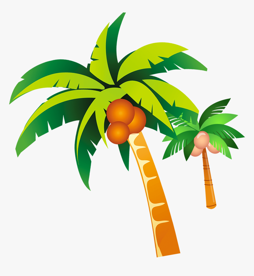 Coconut Tree Clipart Png, Transparent Png, Free Download