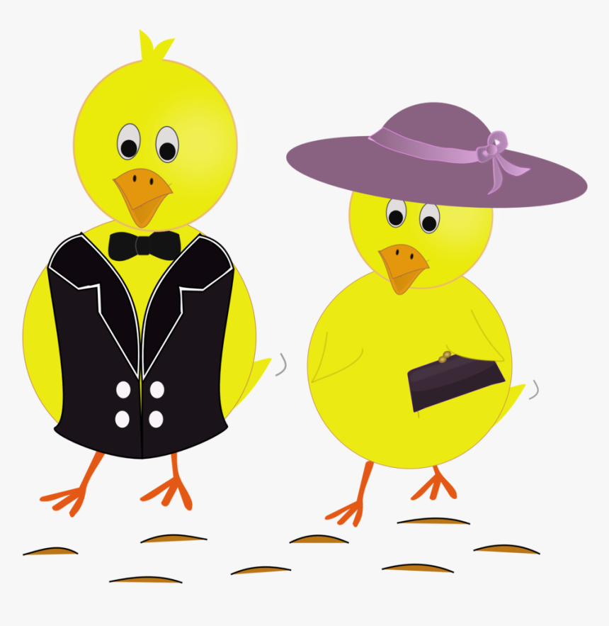 Chicks Png, Transparent Png, Free Download