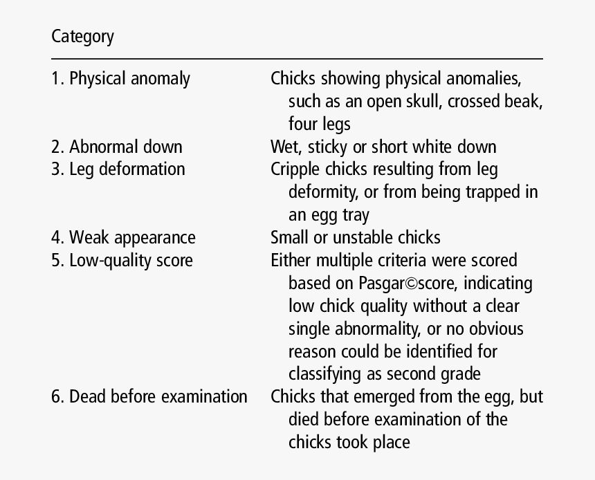 Chicks Png, Transparent Png, Free Download