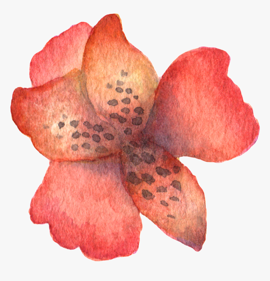 Hand Painted Stick Figure A Red Flower Watercolor Transparent, HD Png Download, Free Download