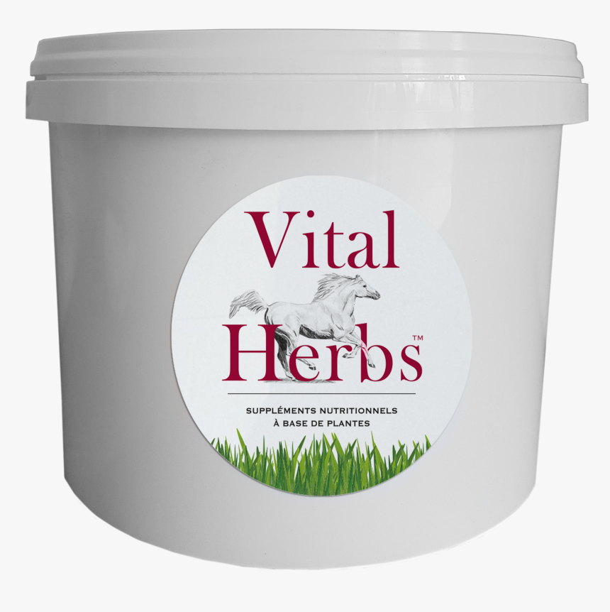 Empty Bucket Vital"herbs, HD Png Download, Free Download