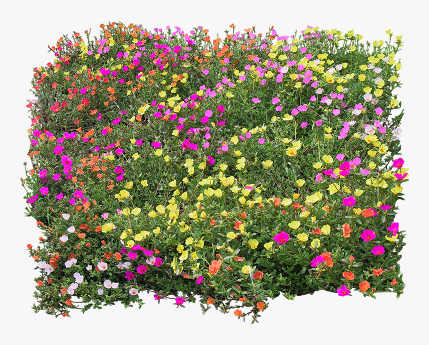 Flower Mapping Bed Top View Transprent Png, Transparent Png, Free Download