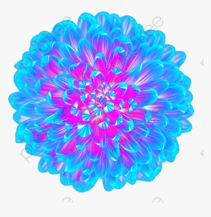 Flower Top View Png, Transparent Png, Free Download