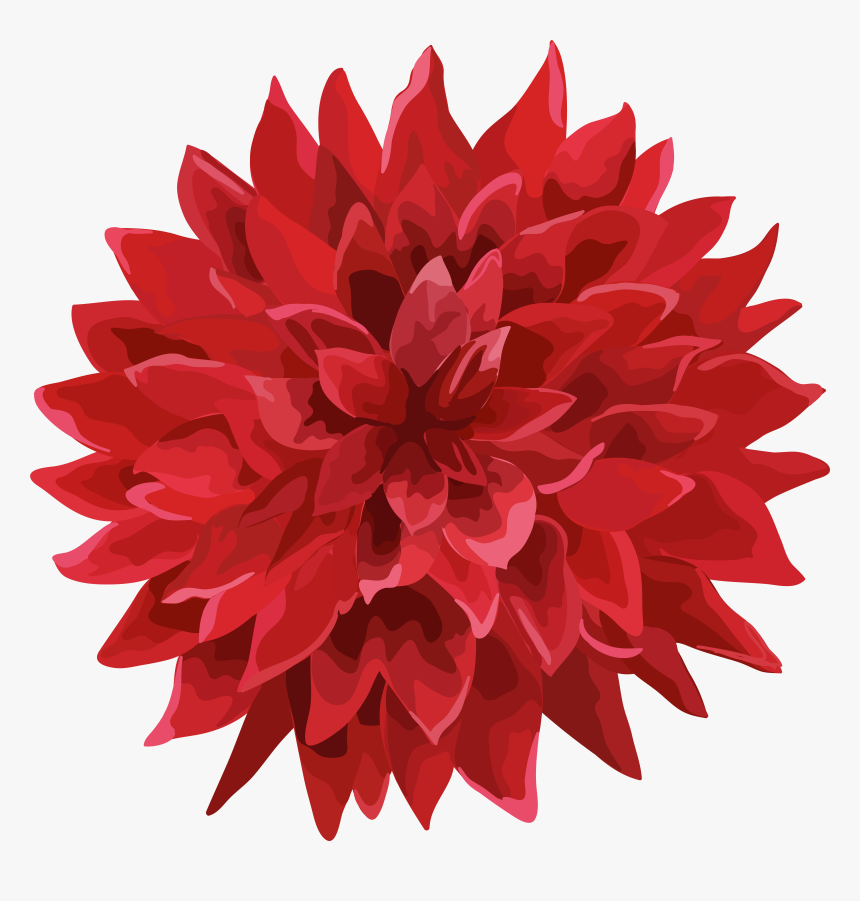 Dahlia Flower Png , Png Download, Transparent Png, Free Download