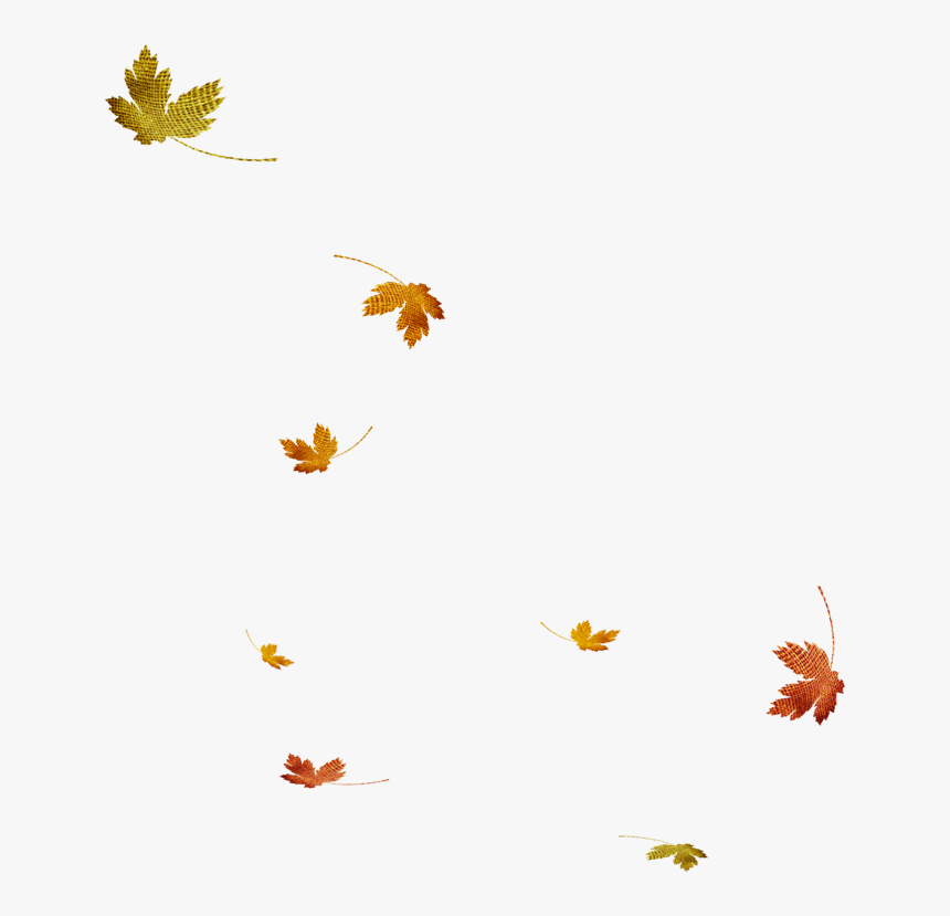Dry Leaves Falling Png, Transparent Png, Free Download