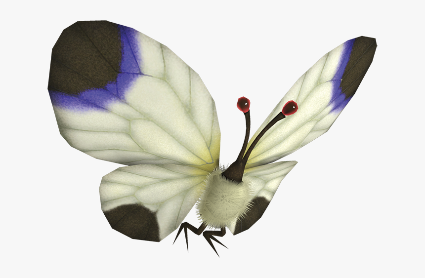 White Spectralids, HD Png Download, Free Download