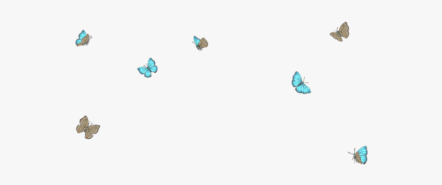 Butterflies Swarm Png, Transparent Png, Free Download