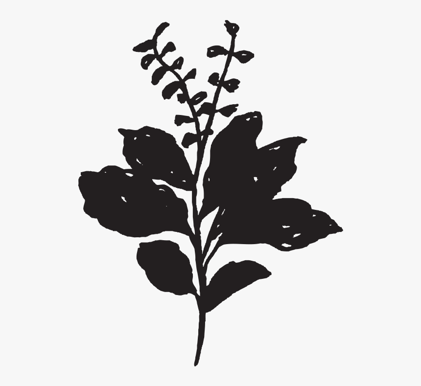 Tulsi Tree Png, Transparent Png, Free Download