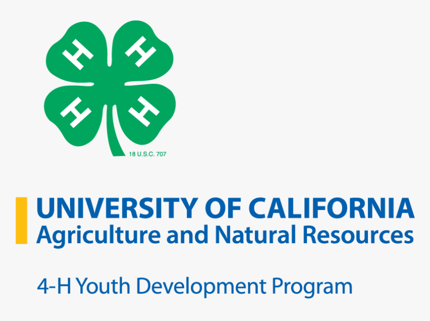 Blue Color Png, Transparent Png, Free Download