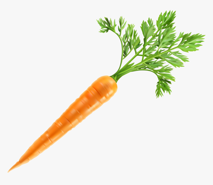 Fresh Carrot Clip Art, HD Png Download, Free Download