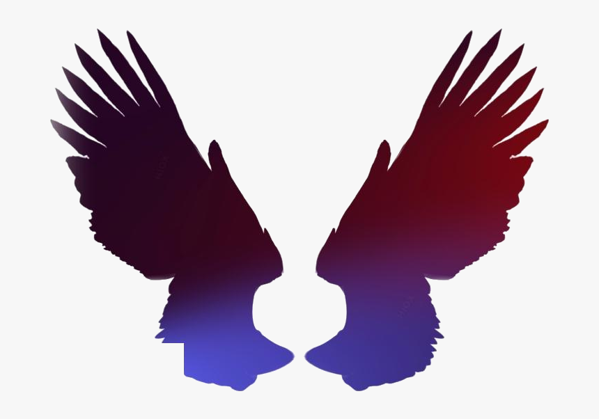 Wings Png Transparent Images, Png Download, Free Download