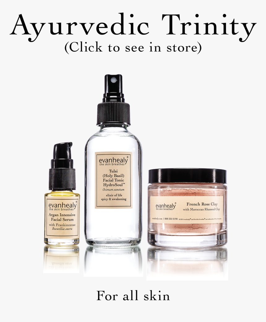 Tulsi Tree Png, Transparent Png, Free Download