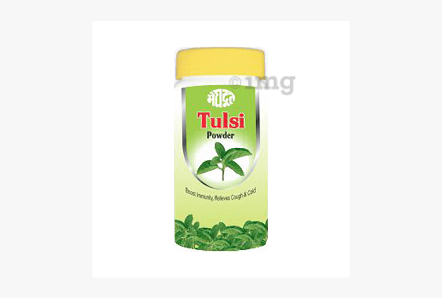 Tulsi Tree Png, Transparent Png, Free Download