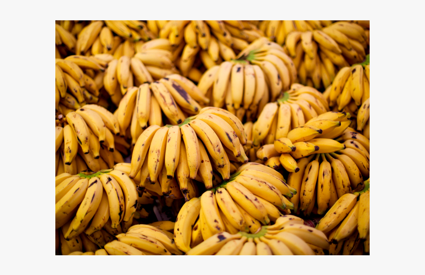 Banana Bunch Png, Transparent Png, Free Download