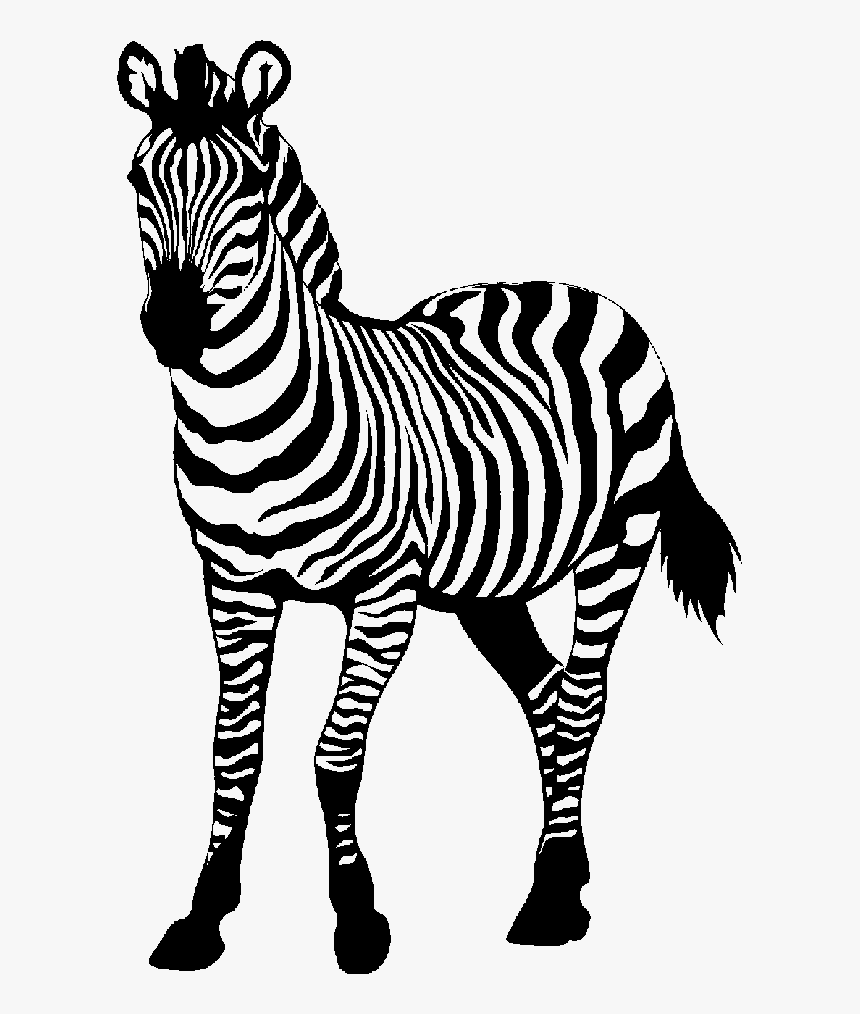 Zebra Png Pic, Transparent Png, Free Download