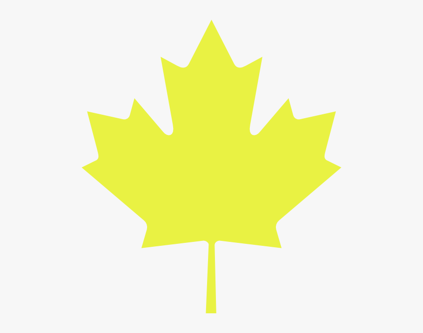 Maple Leaf Clipart Yellow, HD Png Download, Free Download