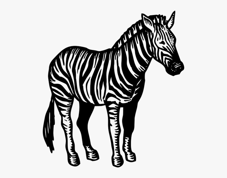 Transparent Zebra Head Png, Png Download, Free Download