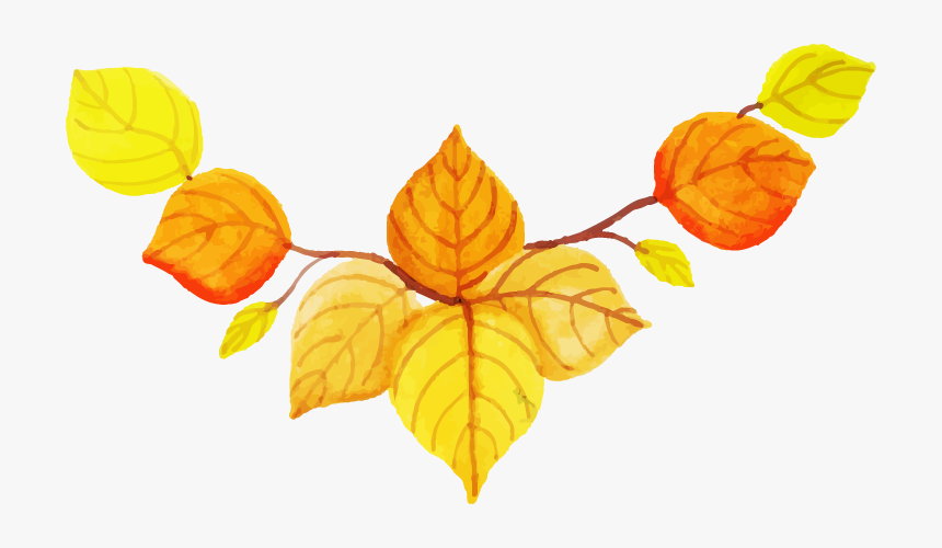 Yellow Leaf Png, Transparent Png, Free Download