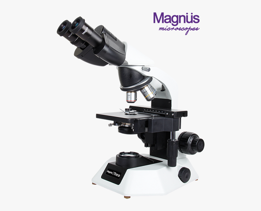 Biological Microscope, HD Png Download, Free Download