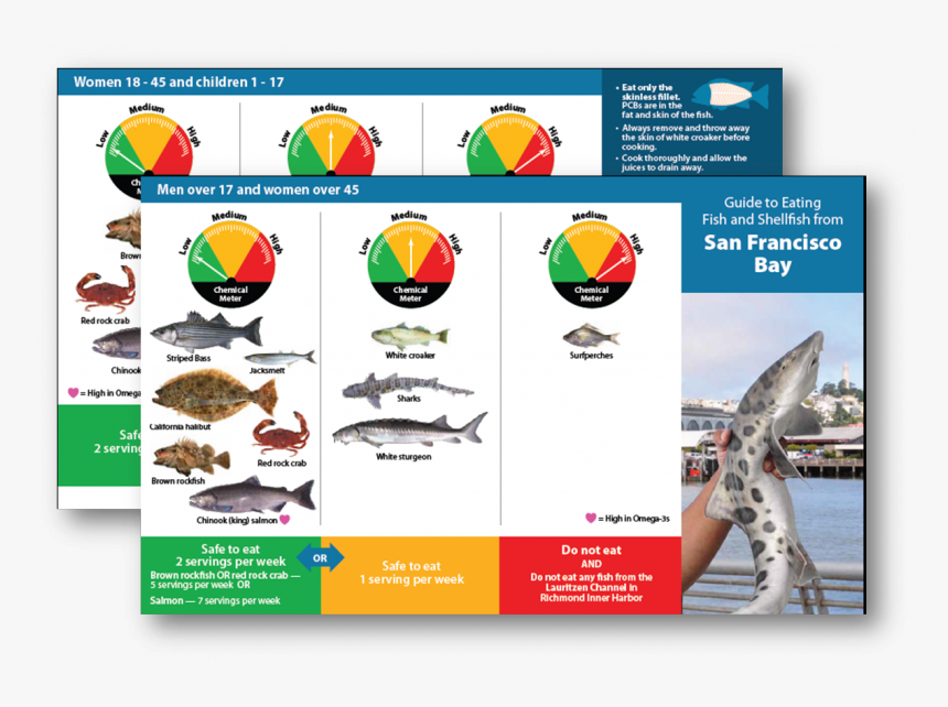 Fish Group Png, Transparent Png, Free Download