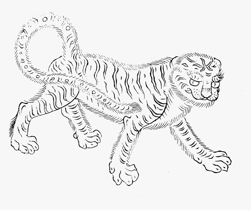 Transparent Wild Animal Png, Png Download, Free Download