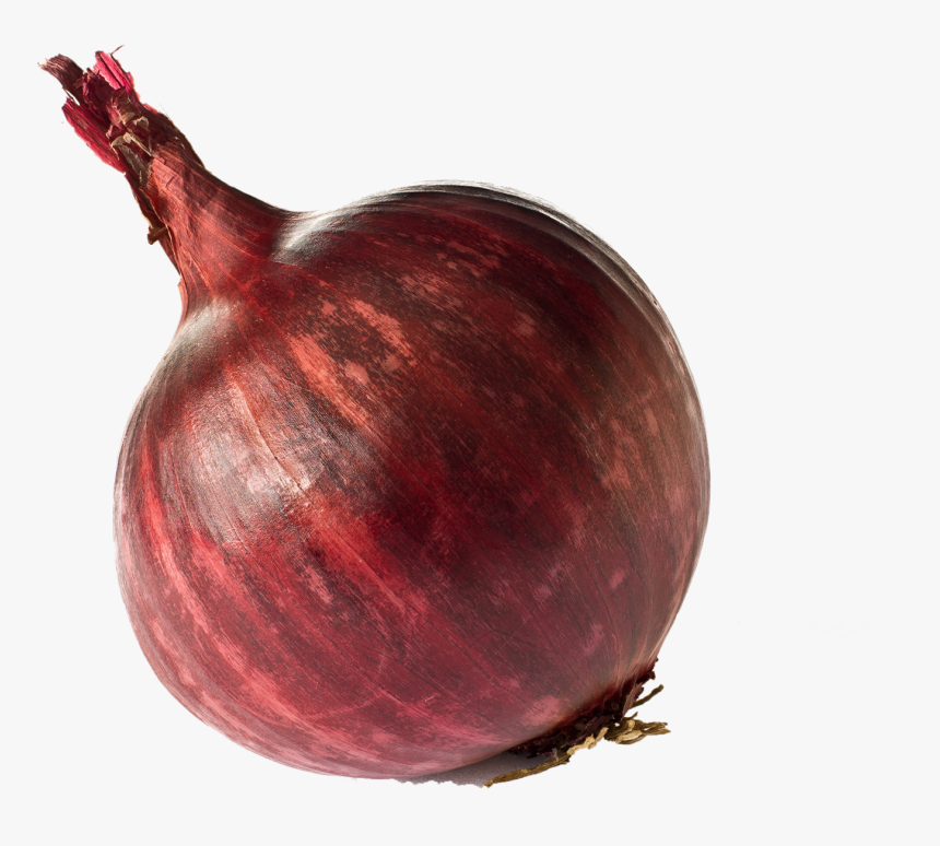 God Of Onion , Png Download, Transparent Png, Free Download