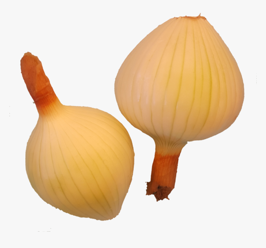 Transparent Onion Plant Png, Png Download, Free Download