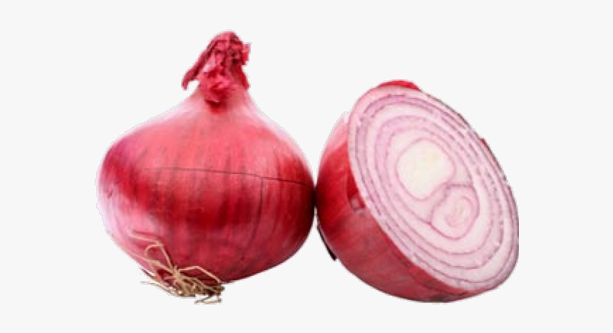 Onion Png Transparent Images, Png Download, Free Download
