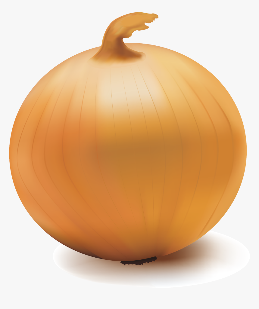 Pumpkin Calabaza Onion Vegetable, HD Png Download, Free Download