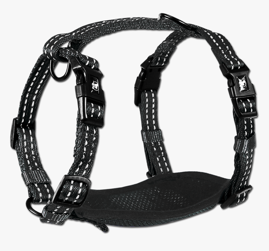 Adventure Harnesses, HD Png Download, Free Download