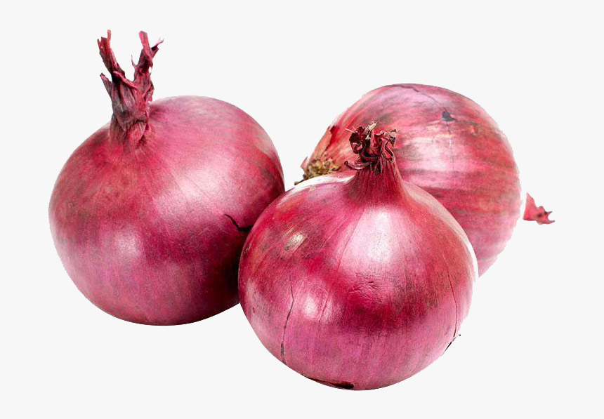Transparent Onion Png, Png Download, Free Download