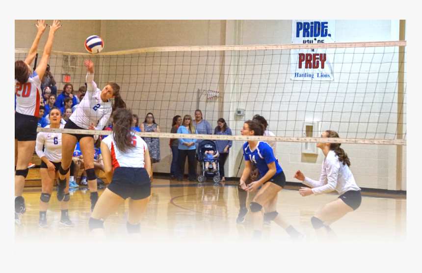 Athletics-volleyball 2016, HD Png Download, Free Download