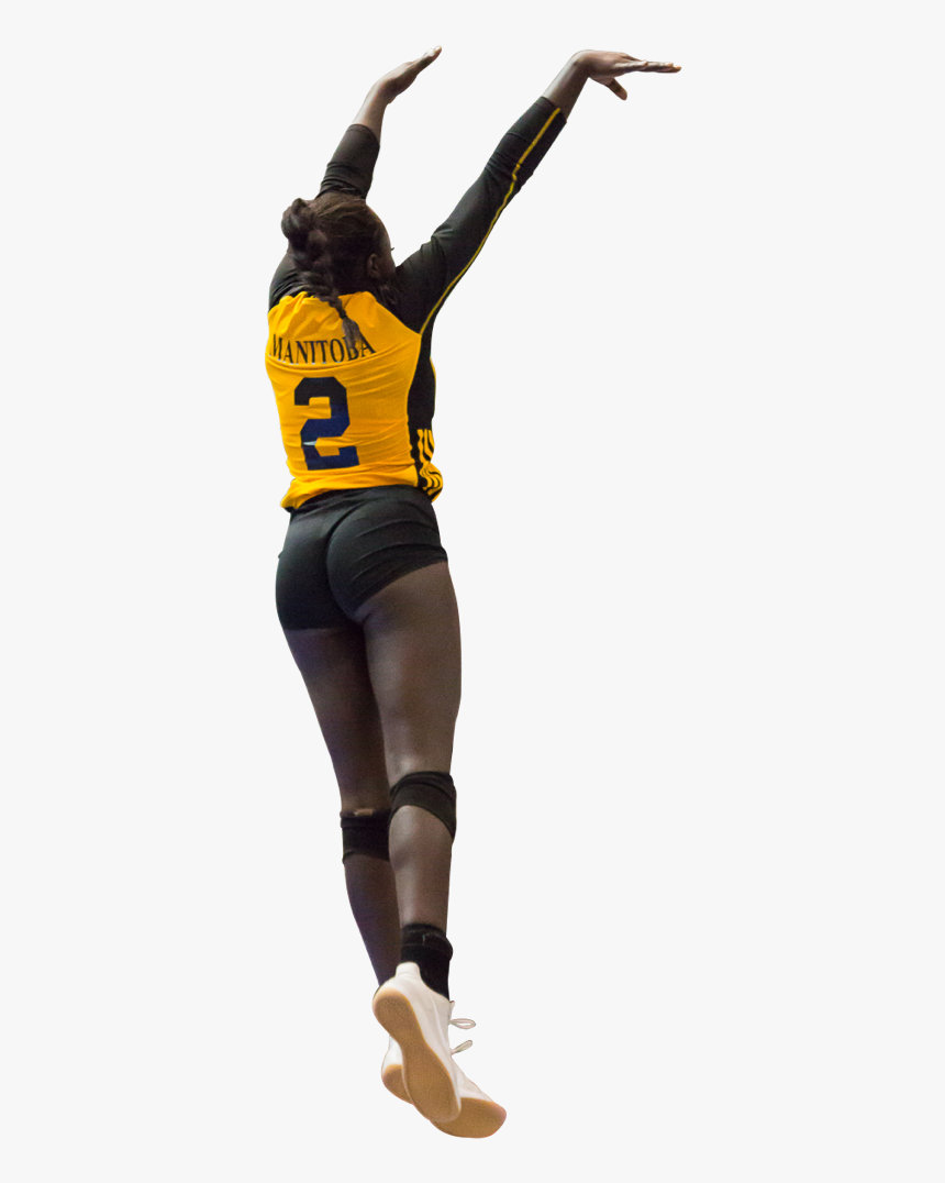 Volleyball Png Images, Transparent Png, Free Download