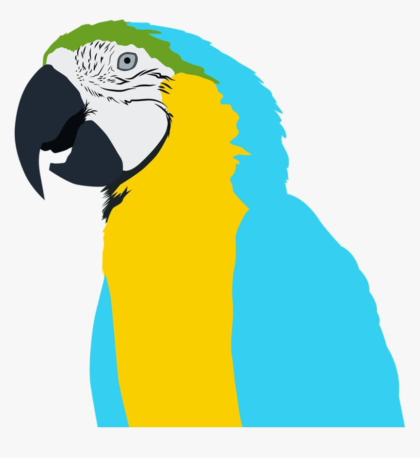 Bird,free - Parrot, HD Png Download, Free Download