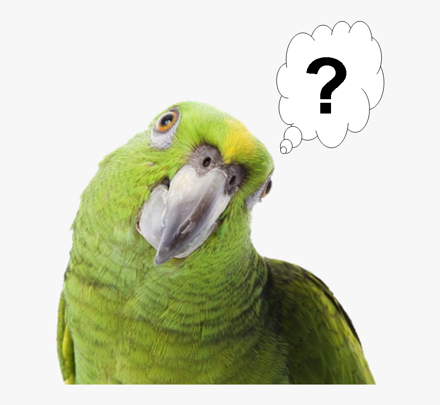 Green Parrot Png, Transparent Png, Free Download