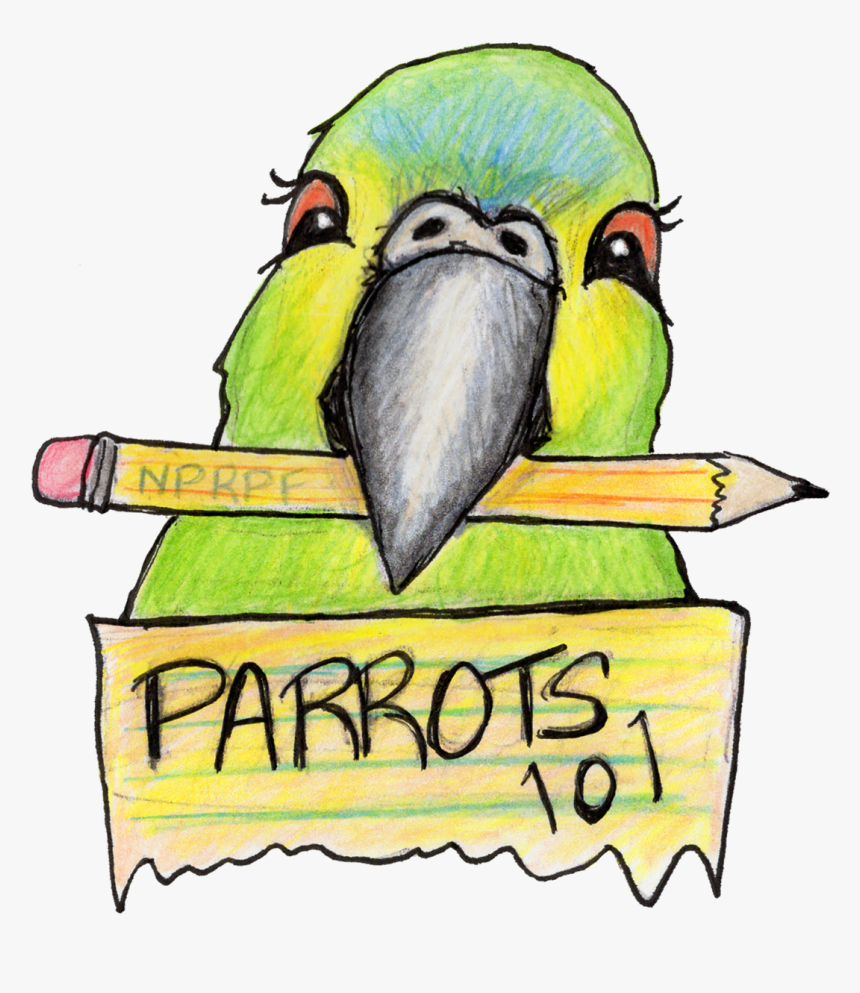 Green Parrot Png, Transparent Png, Free Download