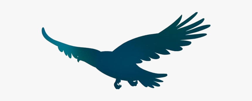Flying Eagle Png Full Hd, Transparent Png, Free Download
