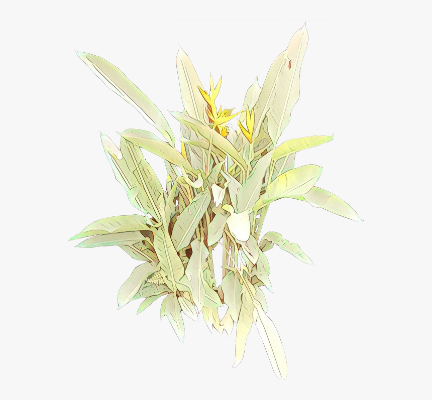 Png Download, Transparent Png, Free Download