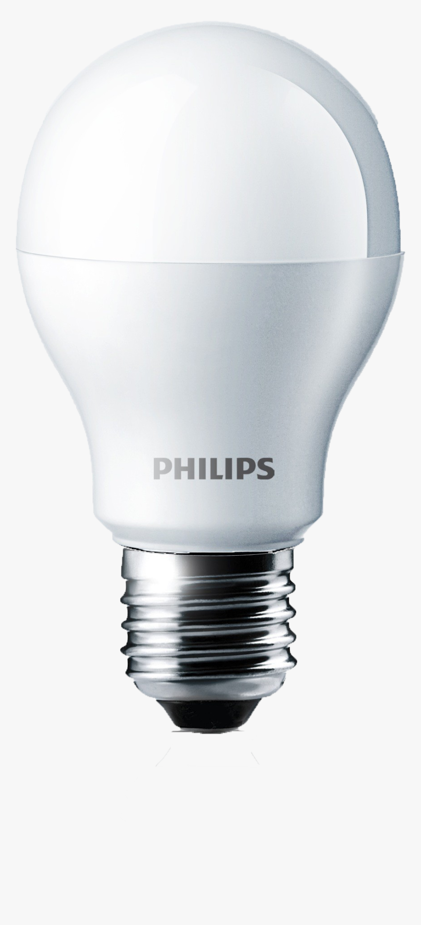 Bulb Transparent File, HD Png Download, Free Download