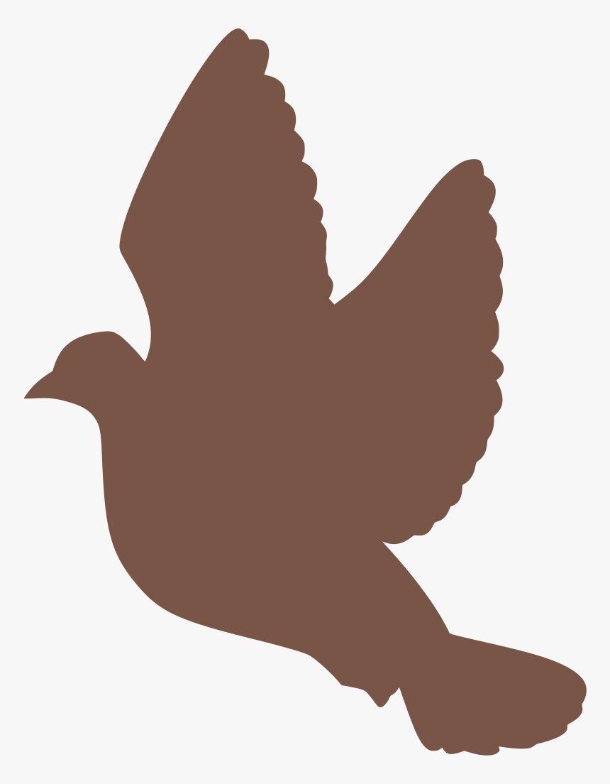 Pigeons Flying Png, Transparent Png, Free Download