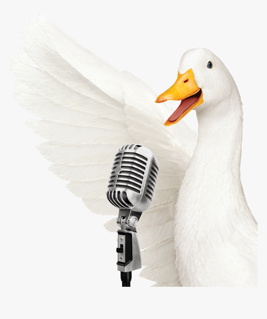 Aflac Duck Png, Transparent Png, Free Download