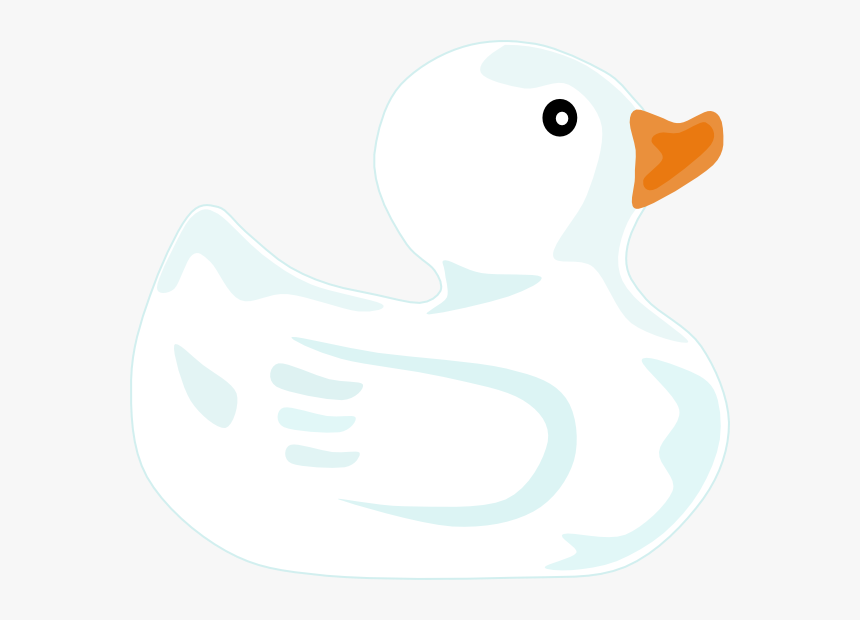 White Duck Png, Transparent Png, Free Download